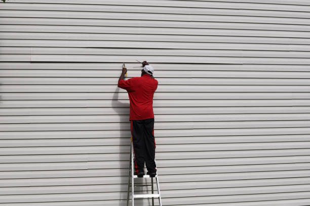 Best Vinyl Siding Installation  in Hillview, KY